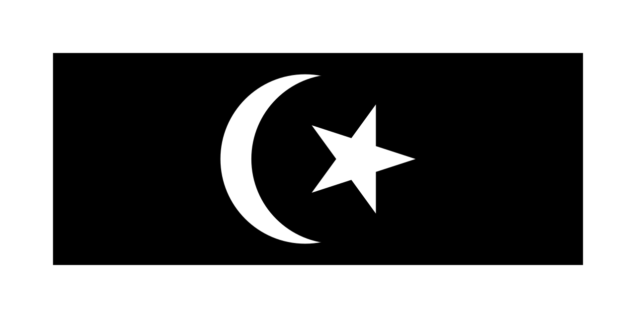 Terengganu Flag